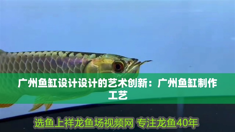 廣州魚缸設計設計的藝術創新：廣州魚缸制作工藝
