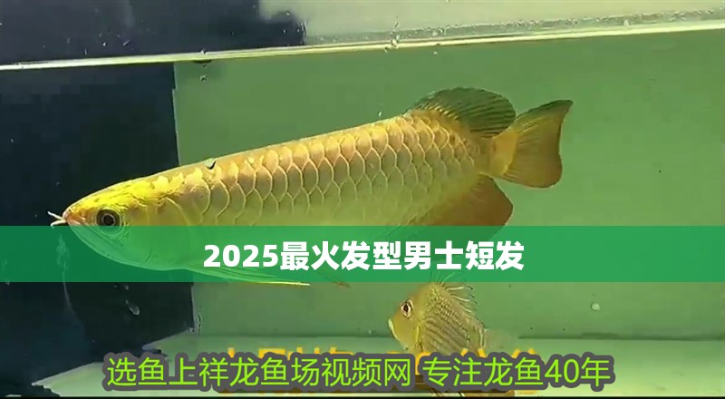 2025最火發(fā)型男士短發(fā)