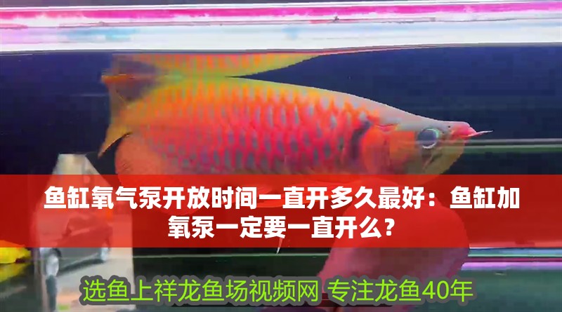 魚缸氧氣泵開放時間一直開多久最好：魚缸加氧泵一定要一直開么？