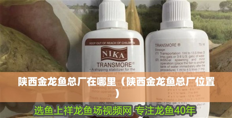 陜西金龍魚總廠在哪里（陜西金龍魚總廠位置）