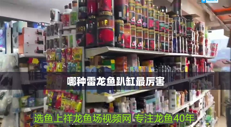 魚缸過濾器選購指南:自制魚缸過濾器魚缸上置過濾器對于養(yǎng)魚愛好者的必備知識 哪種雷龍魚趴缸最厲害 龍魚論壇 哪種雷龍魚趴缸最厲害 哪種雷龍魚趴缸最厲害 龍魚論壇