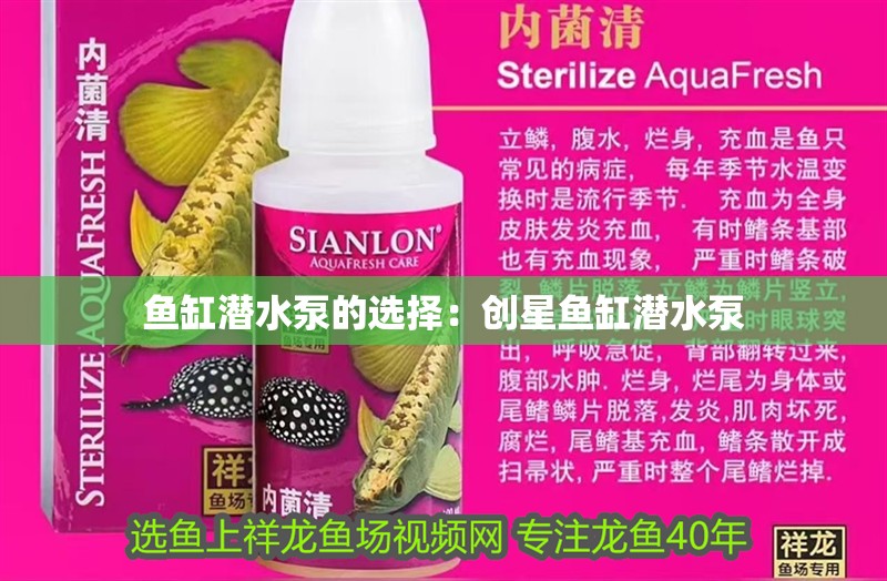 魚缸潛水泵的選擇：創星魚缸潛水泵