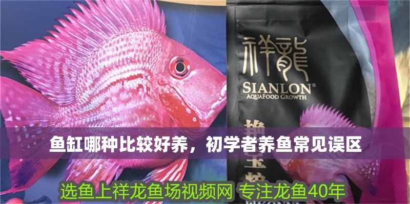 魚缸哪種比較好養，初學者養魚常見誤區