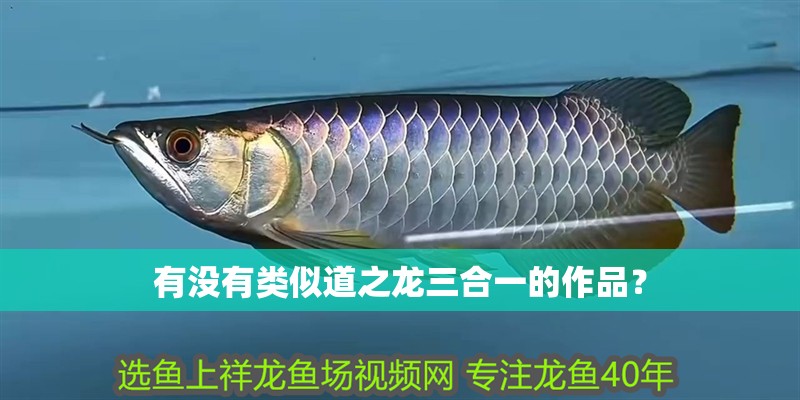 有沒有類似道之龍三合一的作品？