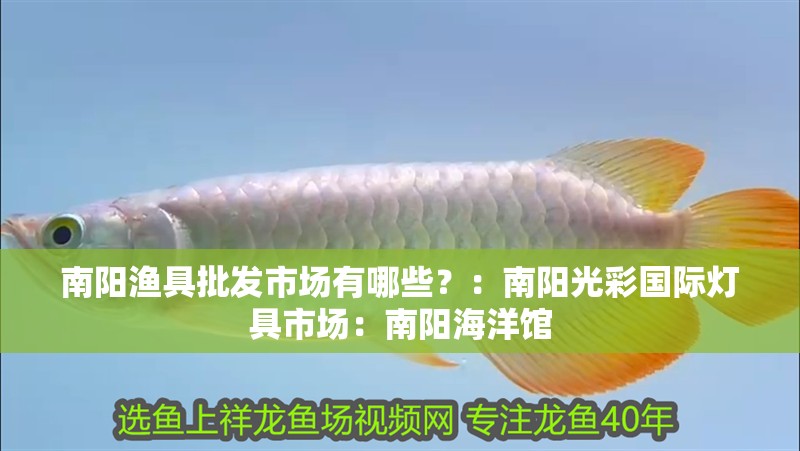 南陽漁具批發市場有哪些？：南陽光彩國際燈具市場：南陽海洋館