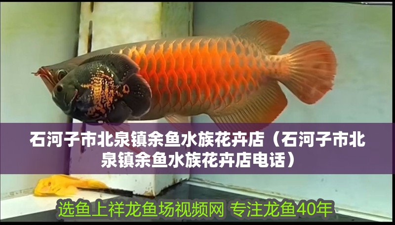 石河子市北泉鎮余魚水族花卉店（石河子市北泉鎮余魚水族花卉店電話）
