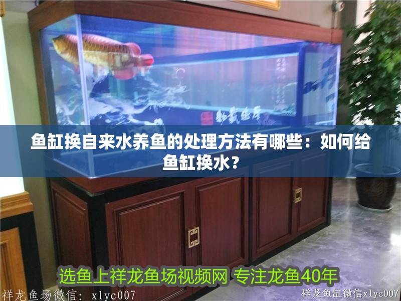 魚缸過濾器選購指南:自制魚缸過濾器魚缸上置過濾器對于養魚愛好者的必備知識 魚缸換自來水養魚的處理方法有哪些:如何給魚缸換水? 魚缸百科 魚缸換自來水養魚的處理方法有哪些:如何給魚缸換水? 魚缸換自來水養魚的處理方法有哪些:如何給魚缸換水? 魚缸百科