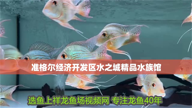 準格爾經濟開發區水之城精品水族館