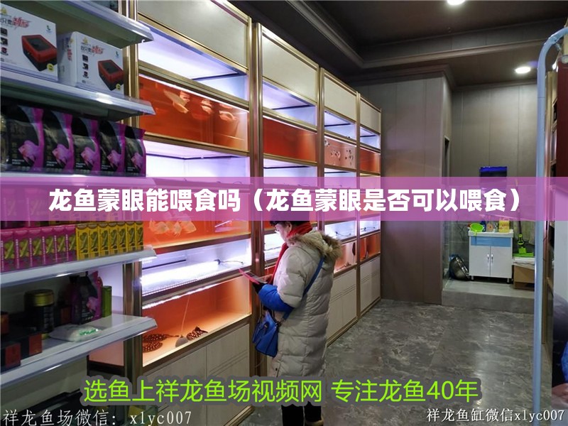 龍魚蒙眼能喂食嗎（龍魚蒙眼是否可以喂食）