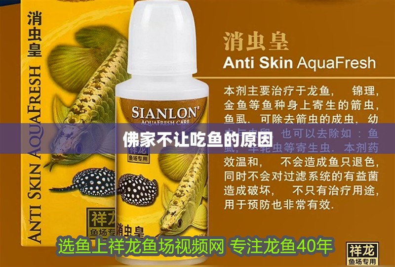 佛家不讓吃魚的原因