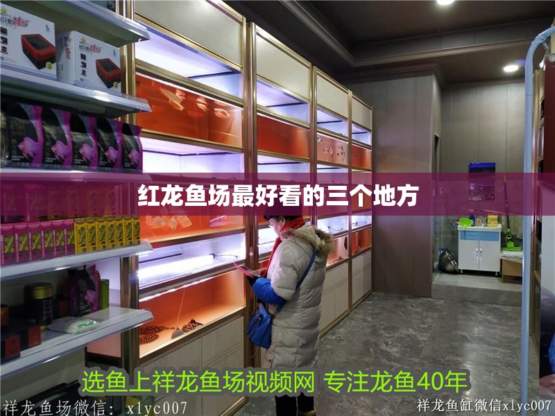紅龍魚場最好看的三個地方