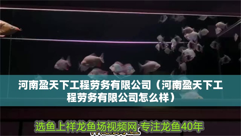 河南盈天下工程勞務有限公司（河南盈天下工程勞務有限公司怎么樣）