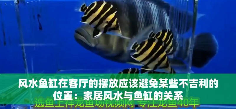 風(fēng)水魚缸在客廳的擺放應(yīng)該避免某些不吉利的位置：家居風(fēng)水與魚缸的關(guān)系