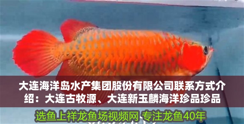 大連海洋島水產集團股份有限公司聯系方式介紹：大連古牧源、大連新玉麟海洋珍品珍品