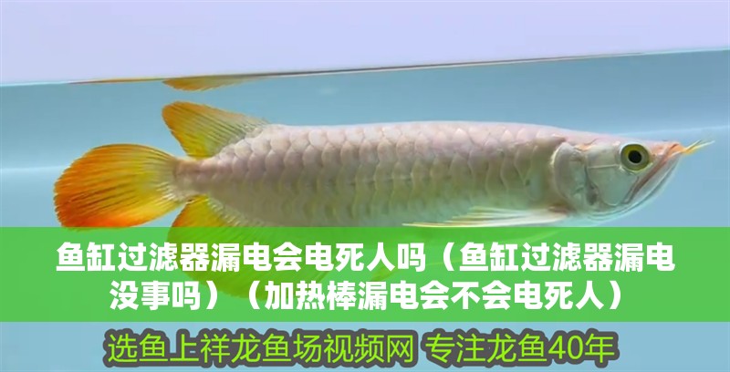魚缸過濾器漏電會電死人嗎（魚缸過濾器漏電沒事嗎）（加熱棒漏電會不會電死人）