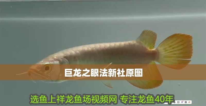 巨龍之眼法新社原圖