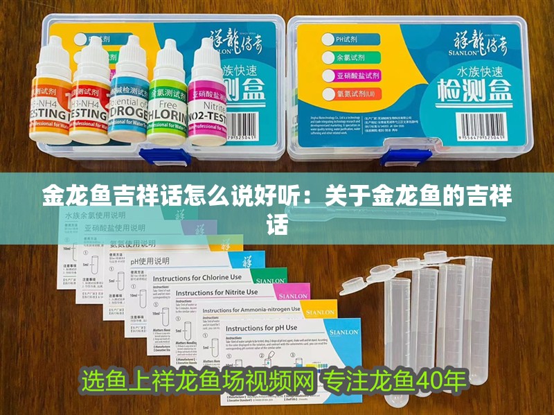 金龍魚(yú)吉祥話怎么說(shuō)好聽(tīng)：關(guān)于金龍魚(yú)的吉祥話