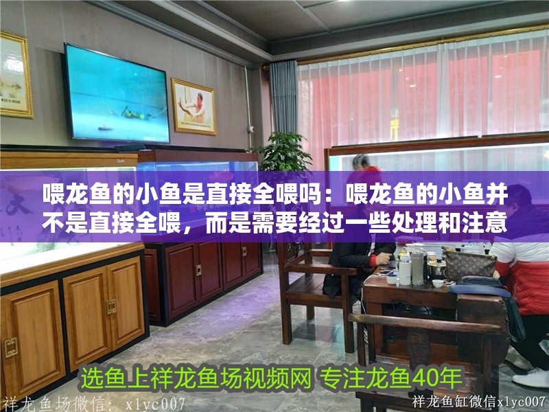 喂龍魚的小魚是直接全喂嗎：喂龍魚的小魚并不是直接全喂，而是需要經過一些處理和注意事項