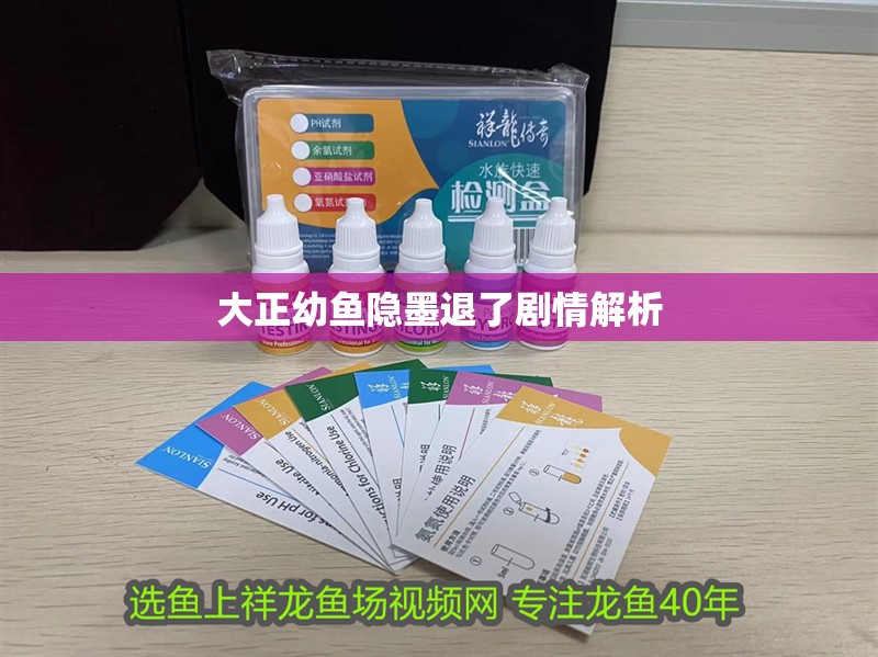 大正幼魚隱墨退了劇情解析