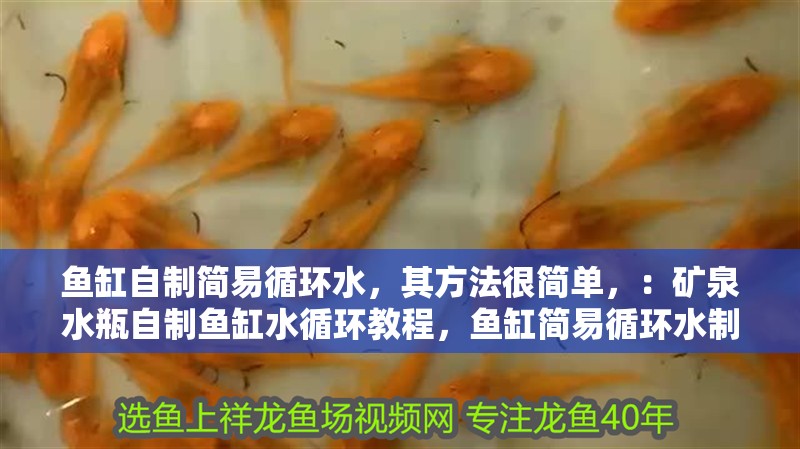 魚缸自制簡易循環水，其方法很簡單，：礦泉水瓶自制魚缸水循環教程，魚缸簡易循環水制作教程