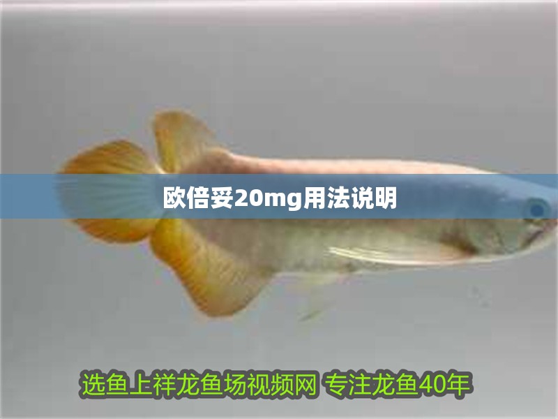 魚缸造景先放沙還是先放水(魚缸造景先鋪沙還是先放石頭) 歐倍妥20mg用法說明 龍魚論壇 歐倍妥20mg用法說明 歐倍妥20mg用法說明 龍魚論壇