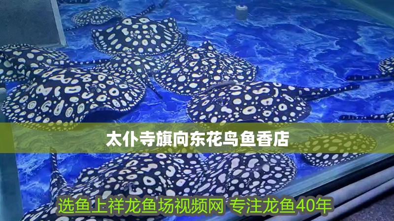 太仆寺旗向東花鳥魚香店