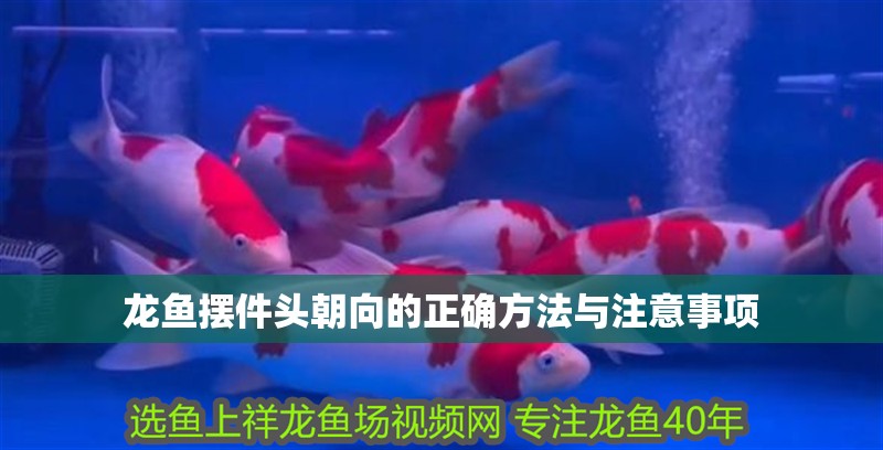 龍魚擺件頭朝向的正確方法與注意事項