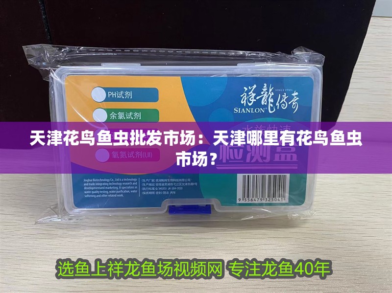 天津花鳥魚蟲批發市場：天津哪里有花鳥魚蟲市場？