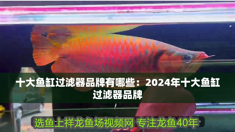 十大魚缸過濾器品牌有哪些：2024年十大魚缸過濾器品牌
