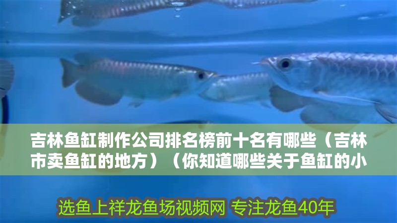 吉林魚缸制作公司排名榜前十名有哪些（吉林市賣魚缸的地方）（你知道哪些關于魚缸的小知識？）
