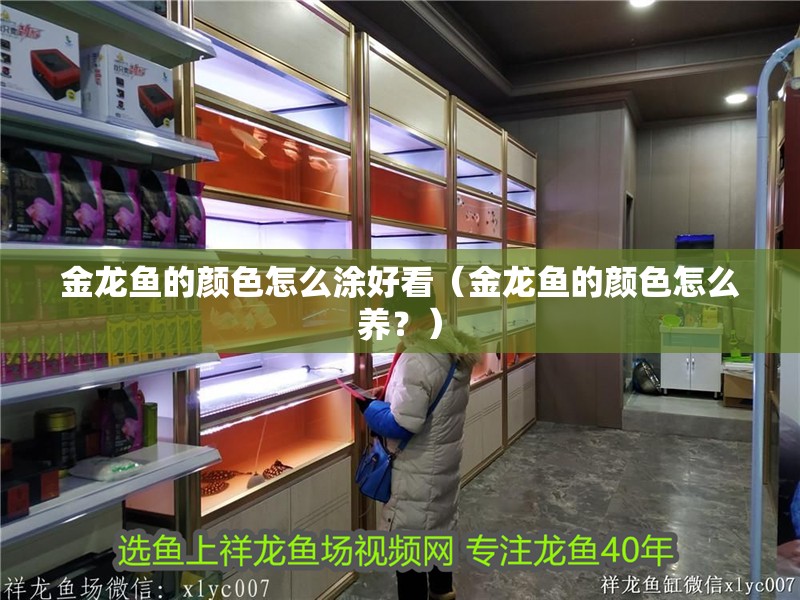 金龍魚的顏色怎么涂好看（金龍魚的顏色怎么養(yǎng)？）
