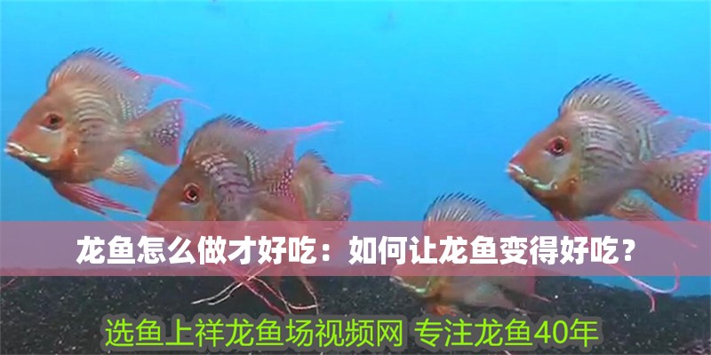 龍魚怎么做才好吃：如何讓龍魚變得好吃？