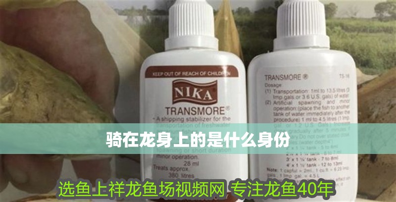 騎在龍身上的是什么身份 騎在龍身上的是什么身份 龍魚論壇