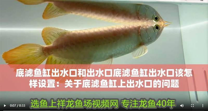 我的虎魚真菌感染了要怎么處理 底濾魚缸出水口和出水口底濾魚缸出水口該怎樣設置:關于底濾魚缸上出水口的問題 魚缸百科 底濾魚缸出水口和出水口底濾魚缸出水口該怎樣設置:關于底濾魚缸上出水口的問題 底濾魚缸出水口和出水口底濾魚缸出水口該怎樣設置:關于底濾魚缸上出水口的問題 魚缸百科