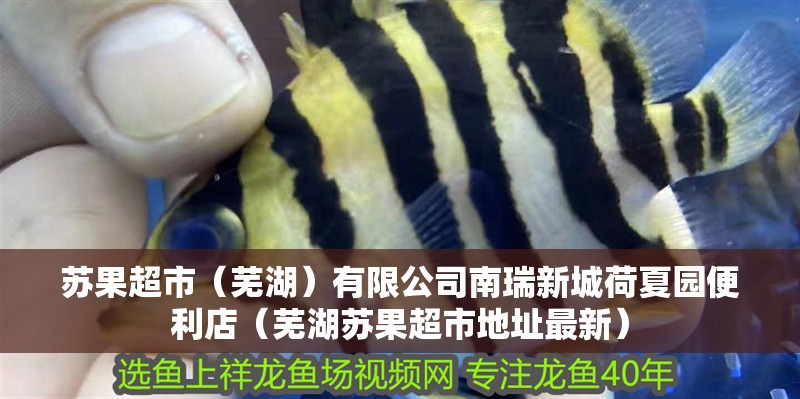 蘇果超市（蕪湖）有限公司南瑞新城荷夏園便利店（蕪湖蘇果超市地址最新）