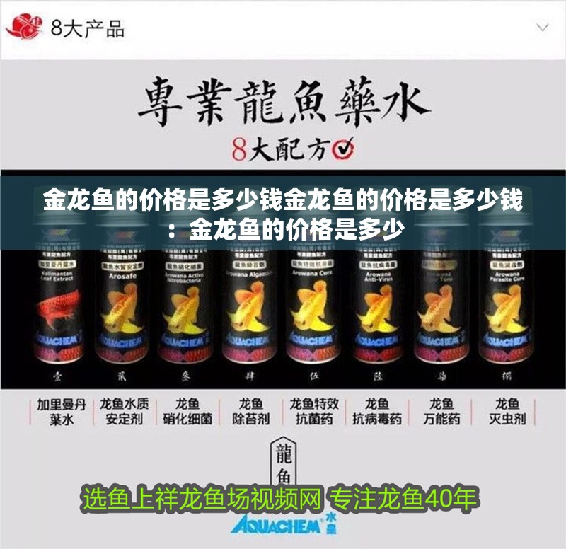 金龍魚的價格是多少錢金龍魚的價格是多少錢：金龍魚的價格是多少