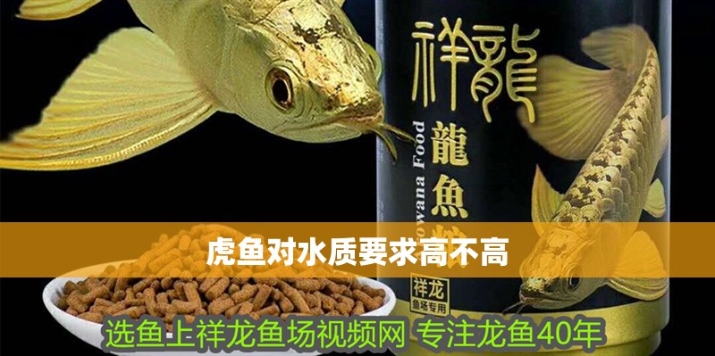 虎魚對水質要求高不高