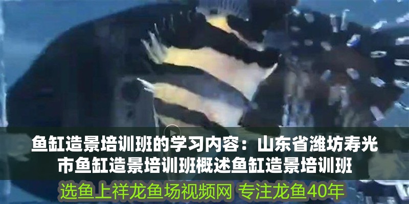 魚缸造景培訓(xùn)班的學(xué)習(xí)內(nèi)容：山東省濰坊壽光市魚缸造景培訓(xùn)班概述魚缸造景培訓(xùn)班
