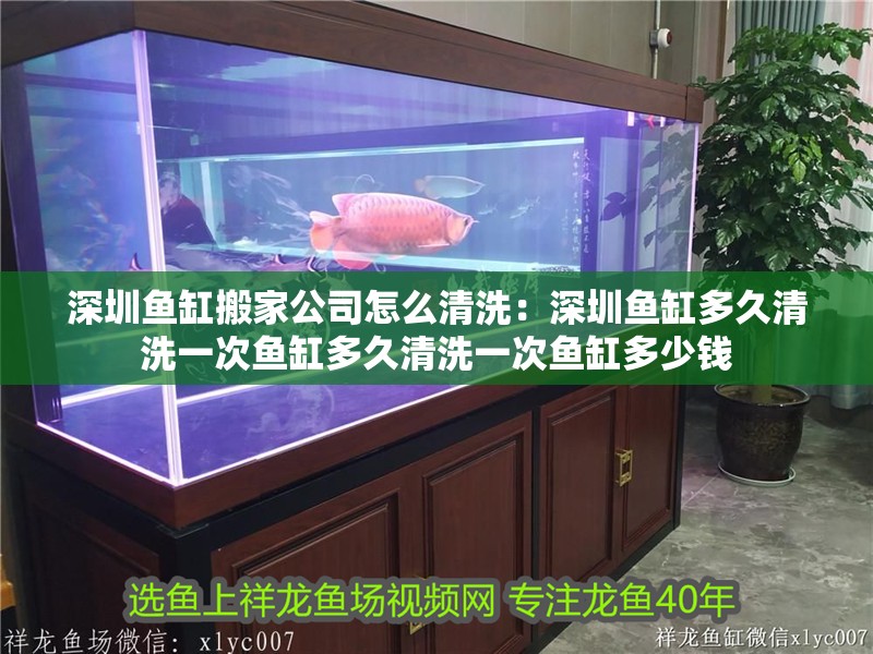 深圳魚缸搬家公司怎么清洗：深圳魚缸多久清洗一次魚缸多久清洗一次魚缸多少錢
