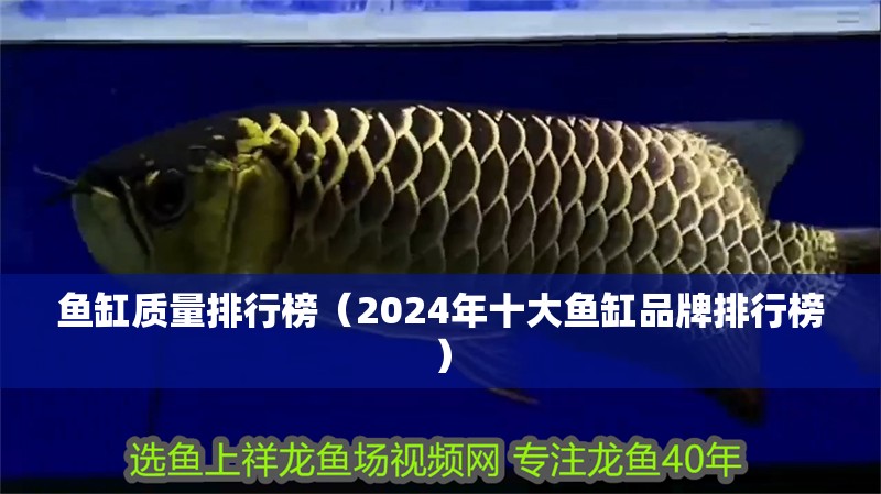 魚缸質量排行榜（2024年十大魚缸品牌排行榜）