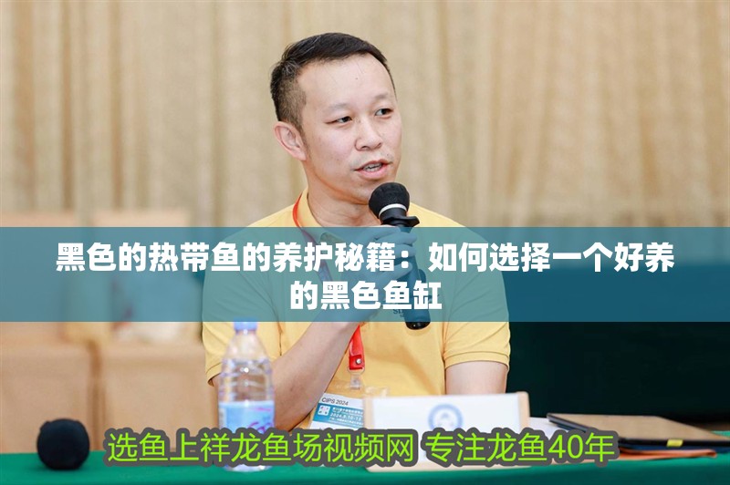 黑色的熱帶魚的養(yǎng)護秘籍：如何選擇一個好養(yǎng)的黑色魚缸