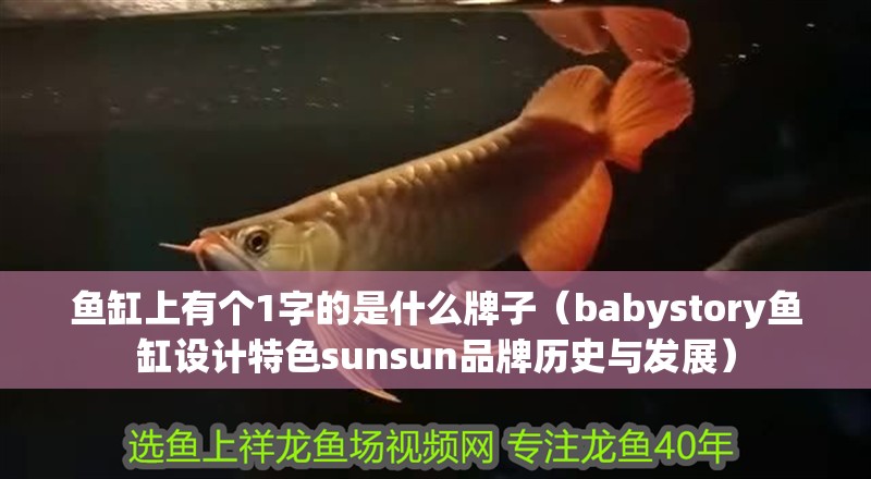魚缸上有個1字的是什么牌子（babystory魚缸設計特色sunsun品牌歷史與發(fā)展）