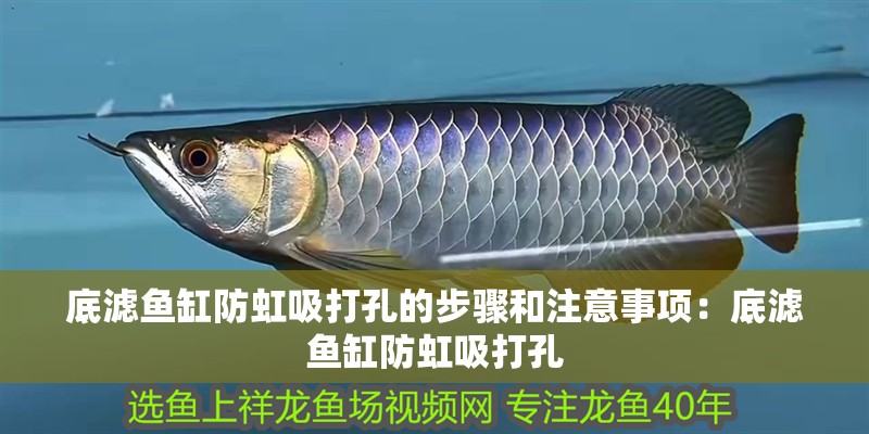 底濾魚(yú)缸防虹吸打孔的步驟和注意事項(xiàng)：底濾魚(yú)缸防虹吸打孔