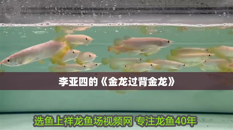 李亞四的《金龍過背金龍》