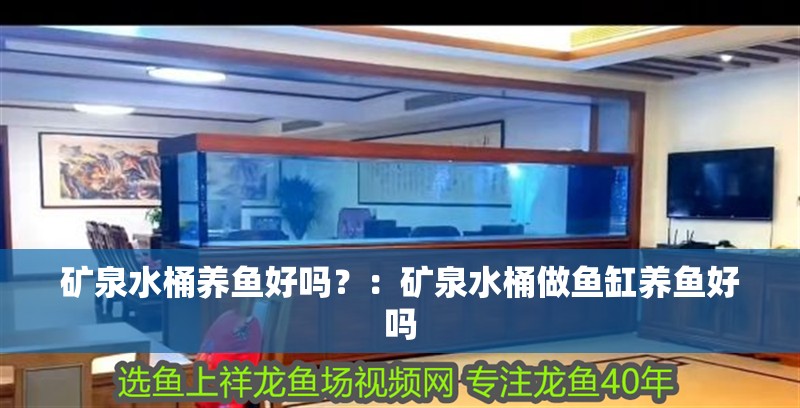 礦泉水桶養(yǎng)魚好嗎？：礦泉水桶做魚缸養(yǎng)魚好嗎