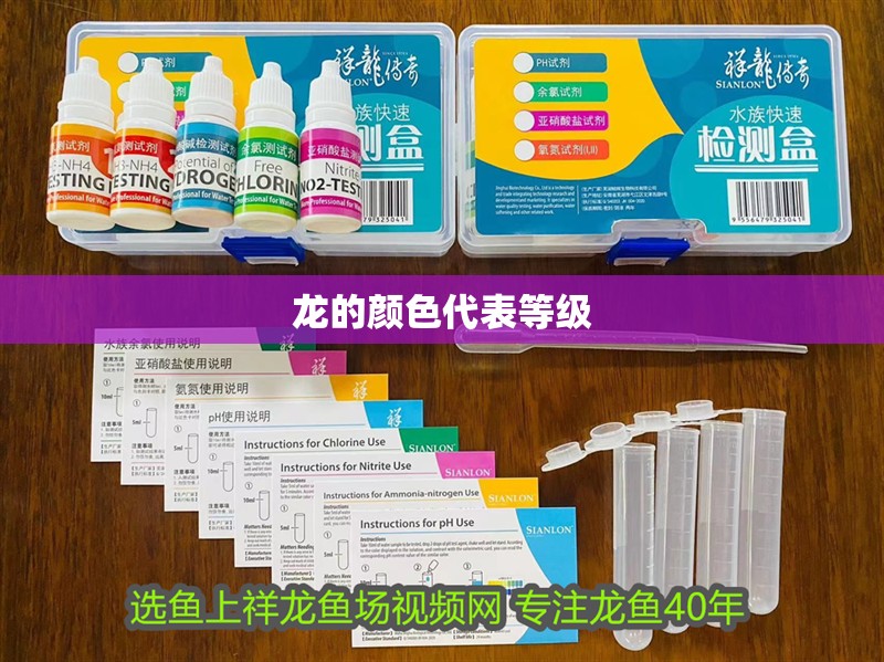 龍的顏色代表等級