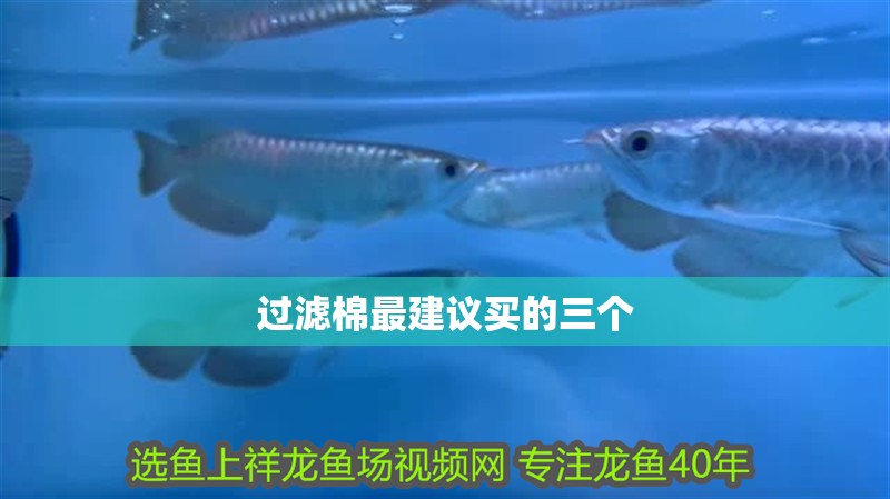 過濾棉最建議買的三個