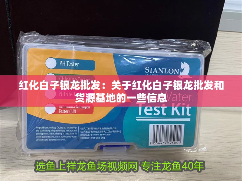 紅化白子銀龍批發：關于紅化白子銀龍批發和貨源基地的一些信息