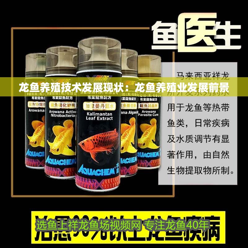 龍魚養(yǎng)殖技術(shù)發(fā)展現(xiàn)狀：龍魚養(yǎng)殖業(yè)發(fā)展前景