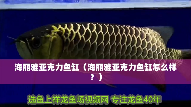 海麗雅亞克力魚缸（海麗雅亞克力魚缸怎么樣？）